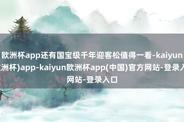 欧洲杯app还有国宝级千年迎客松值得一看-kaiyun(欧洲杯)app-kaiyun欧洲杯app(中国)官方网站-登录入口