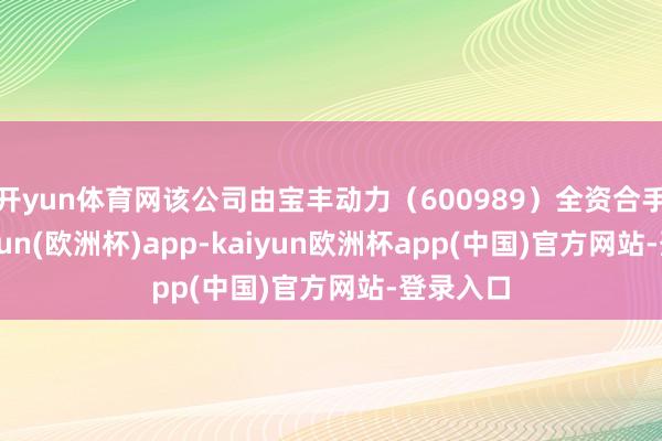 开yun体育网该公司由宝丰动力(600989)全资合手股-kaiyun(欧洲杯)app-kaiyun欧洲杯app(中国)官方网站-登录入口
