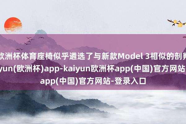 欧洲杯体育座椅似乎遴选了与新款Model 3相似的剖判作风-kaiyun(欧洲杯)app-kaiyun欧洲杯app(中国)官方网站-登录入口