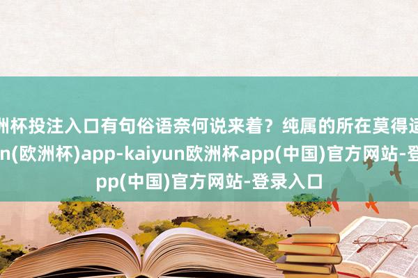欧洲杯投注入口有句俗语奈何说来着？纯属的所在莫得适意-kaiyun(欧洲杯)app-kaiyun欧洲杯app(中国)官方网站-登录入口