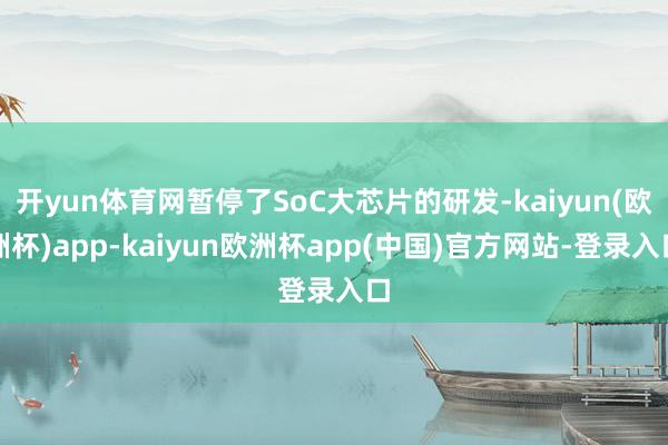 开yun体育网暂停了SoC大芯片的研发-kaiyun(欧洲杯)app-kaiyun欧洲杯app(中国)官方网站-登录入口
