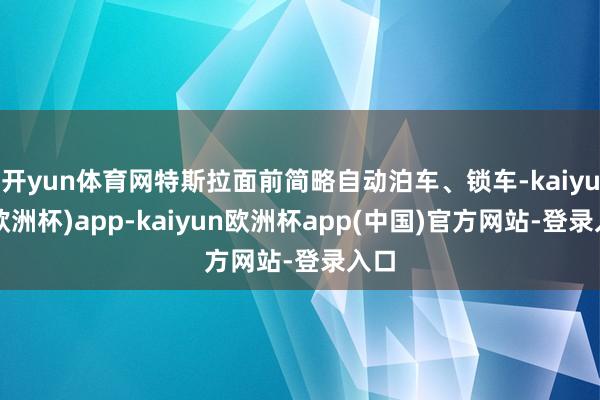 开yun体育网特斯拉面前简略自动泊车、锁车-kaiyun(欧洲杯)app-kaiyun欧洲杯app(中国)官方网站-登录入口