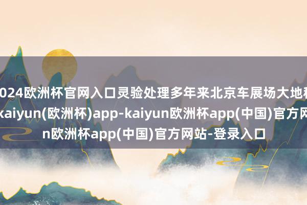 2024欧洲杯官网入口灵验处理多年来北京车展场大地积不及的问题-kaiyun(欧洲杯)app-kaiyun欧洲杯app(中国)官方网站-登录入口