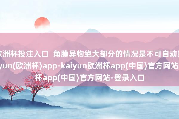 欧洲杯投注入口  角膜异物绝大部分的情况是不可自动排出的-kaiyun(欧洲杯)app-kaiyun欧洲杯app(中国)官方网站-登录入口