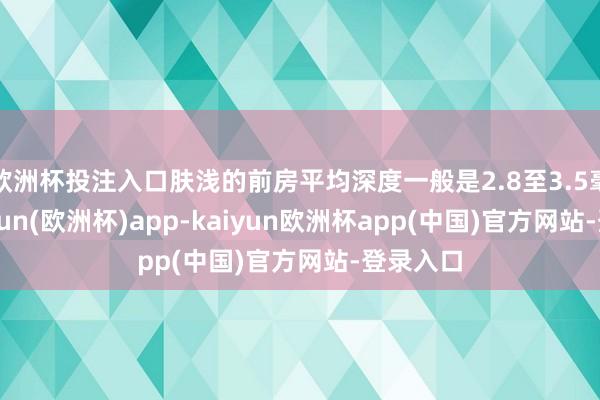 欧洲杯投注入口肤浅的前房平均深度一般是2.8至3.5毫米-kaiyun(欧洲杯)app-kaiyun欧洲杯app(中国)官方网站-登录入口