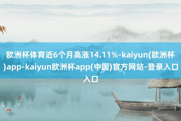 欧洲杯体育近6个月高涨14.11%-kaiyun(欧洲杯)app-kaiyun欧洲杯app(中国)官方网站-登录入口