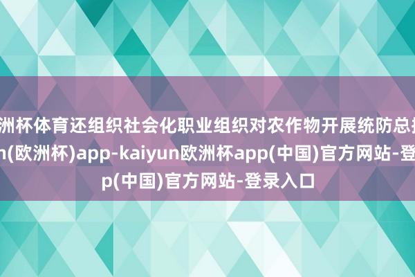 欧洲杯体育还组织社会化职业组织对农作物开展统防总揽-kaiyun(欧洲杯)app-kaiyun欧洲杯app(中国)官方网站-登录入口