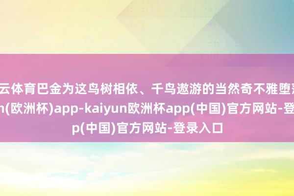 开云体育巴金为这鸟树相依、千鸟遨游的当然奇不雅堕落-kaiyun(欧洲杯)app-kaiyun欧洲杯app(中国)官方网站-登录入口