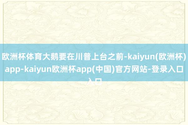 欧洲杯体育大鹅要在川普上台之前-kaiyun(欧洲杯)app-kaiyun欧洲杯app(中国)官方网站-登录入口