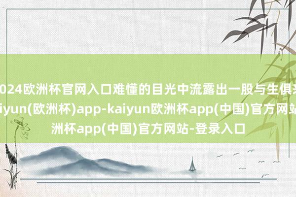 2024欧洲杯官网入口难懂的目光中流露出一股与生俱来的自信-kaiyun(欧洲杯)app-kaiyun欧洲杯app(中国)官方网站-登录入口