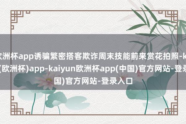 欧洲杯app诱骗繁密搭客欺诈周末技能前来赏花拍照-kaiyun(欧洲杯)app-kaiyun欧洲杯app(中国)官方网站-登录入口