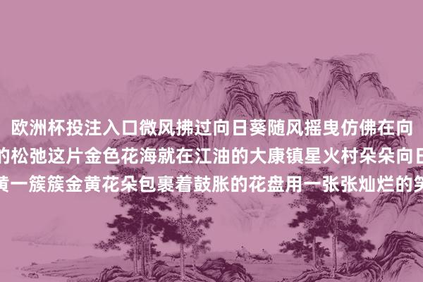 欧洲杯投注入口微风拂过向日葵随风摇曳仿佛在向东说念主们诉说着野外的松弛这片金色花海就在江油的大康镇星火村朵朵向日葵汇成一派夺指标金黄一簇簇金黄花朵包裹着鼓胀的花盘用一张张灿烂的笑容管待着八方来客那一朵朵鼓胀的花盘如吞并个个小太阳荒疏着强烈而亮堂的气味犹豫在盛放的花海间金黄与翠绿交汇呼吸里皆饱和着阳光的滋味唾手一拍便是一张好意思好意思的壁纸在天光云影中朵朵向日葵曙光而生与远山晴空沿途组成一幅春风愉快