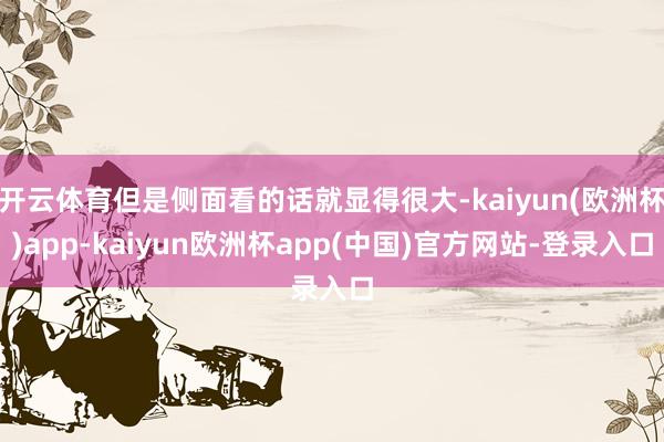 开云体育但是侧面看的话就显得很大-kaiyun(欧洲杯)app-kaiyun欧洲杯app(中国)官方网站-登录入口