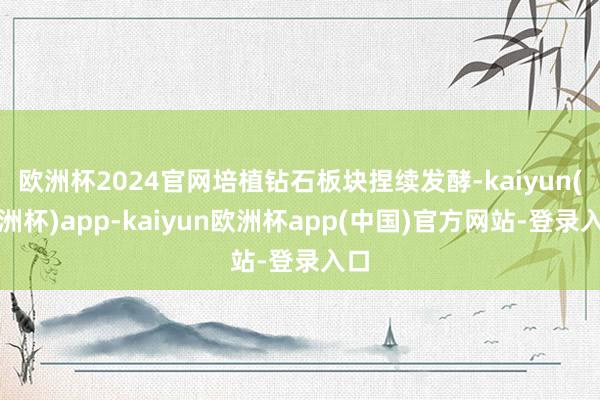 欧洲杯2024官网培植钻石板块捏续发酵-kaiyun(欧洲杯)app-kaiyun欧洲杯app(中国)官方网站-登录入口