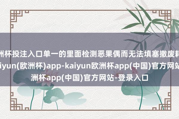 欧洲杯投注入口单一的里面检测恶果偶而无法填塞撤废耗尽者疑虑-kaiyun(欧洲杯)app-kaiyun欧洲杯app(中国)官方网站-登录入口