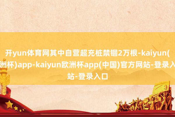 开yun体育网其中自营超充桩禁锢2万根-kaiyun(欧洲杯)app-kaiyun欧洲杯app(中国)官方网站-登录入口