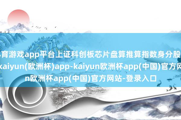 体育游戏app平台上证科创板芯片盘算推算指数身分股盈利空间高出-kaiyun(欧洲杯)app-kaiyun欧洲杯app(中国)官方网站-登录入口