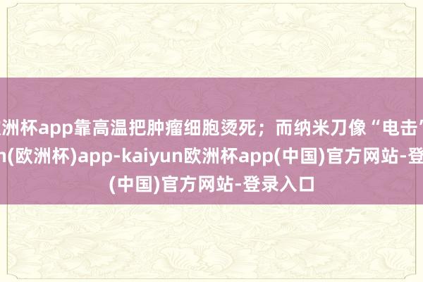 欧洲杯app靠高温把肿瘤细胞烫死；而纳米刀像“电击”-kaiyun(欧洲杯)app-kaiyun欧洲杯app(中国)官方网站-登录入口