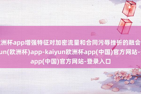 欧洲杯app增强特征对加密流量和合同污辱挫折的融会才调-kaiyun(欧洲杯)app-kaiyun欧洲杯app(中国)官方网站-登录入口