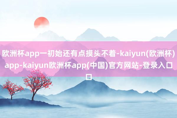 欧洲杯app一初始还有点摸头不着-kaiyun(欧洲杯)app-kaiyun欧洲杯app(中国)官方网站-登录入口
